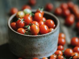 paradajky, rajčiny, gastro, guest, printové médiá
